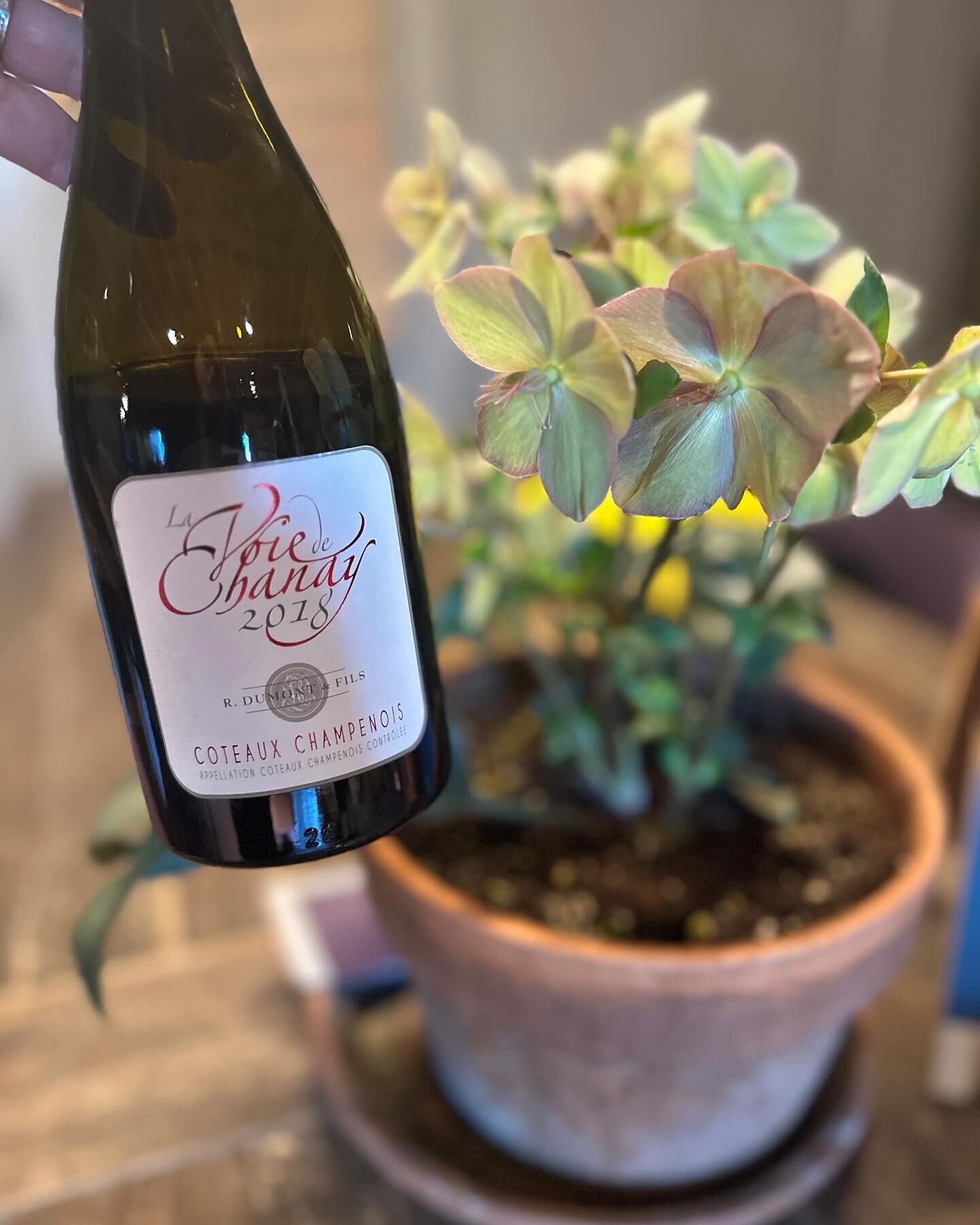 Tasting a still, red Pinot Noir from Champagne tonight&hellip;that&rsquo;s right, I said, STILL and RED from a region that is almost exclusively known for sparkling white wines (and ros&eacute;)! 🤯 Come in and learn the how and why and sample the st