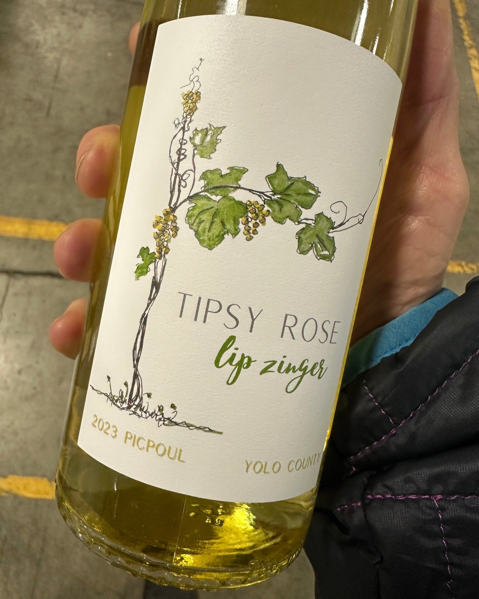 Tipsy Rose has Landed in Newport!!

This is Lip Zinger, a new addition to the @tipsyrosewines  lineup.  100% Organic Picpoul, sourced from  Yolo County, just over the pass from Napa to Lodi.  Fermented in stainless steel, aged just 3 months in neutra