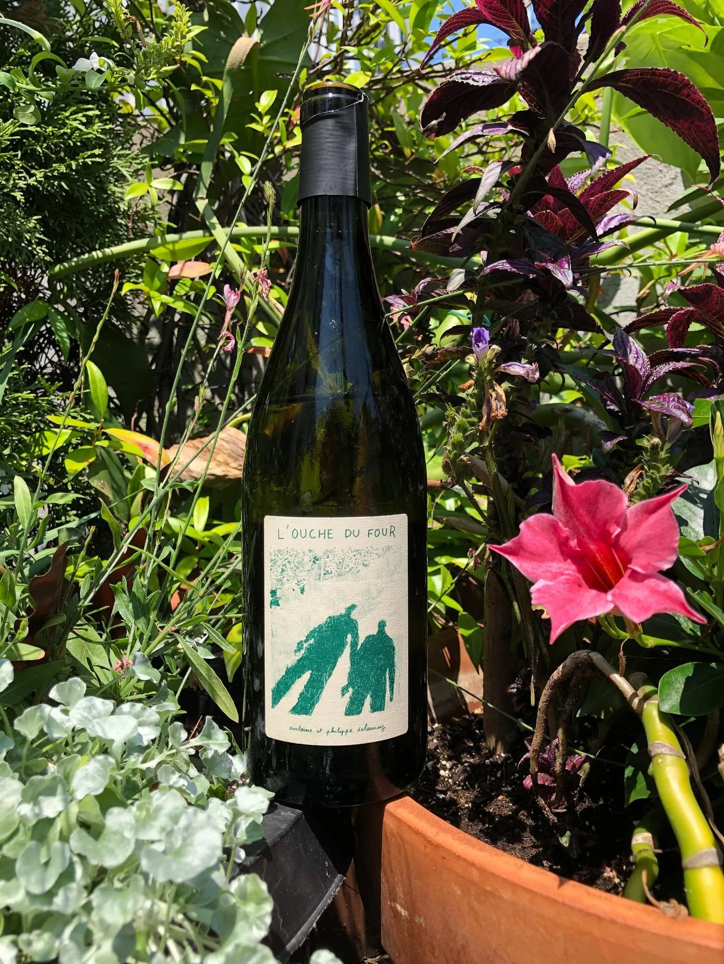missed yesterdays tasting during @aquidneckgrowers? don&rsquo;t miss it next week, 2-6. #winetasting #summertimeinnewport