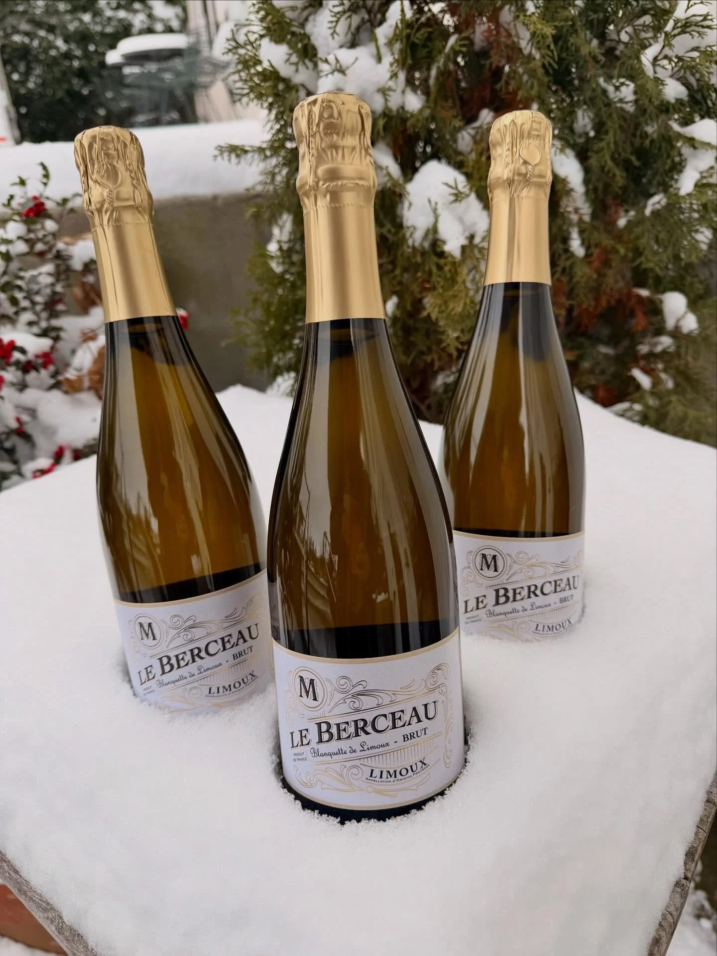 champagne energy 🍾, not champagne price tag! 🥂we will be tasting this and making a NYE cocktail too tonight from 4-7pm!