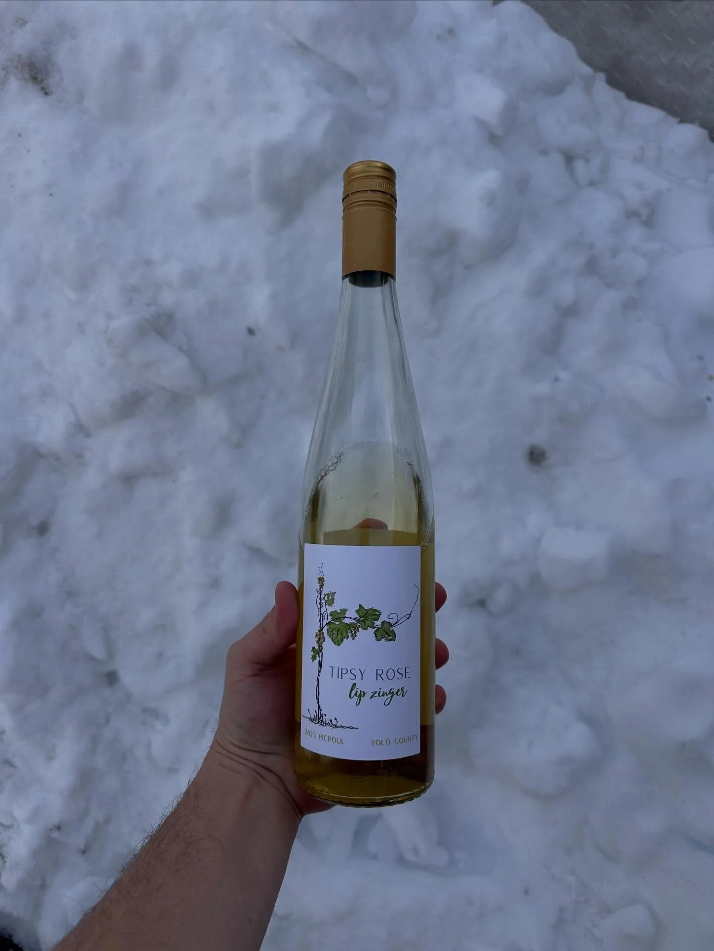 what are you drinking today!? 🏈 for us, @tipsyrosewines!