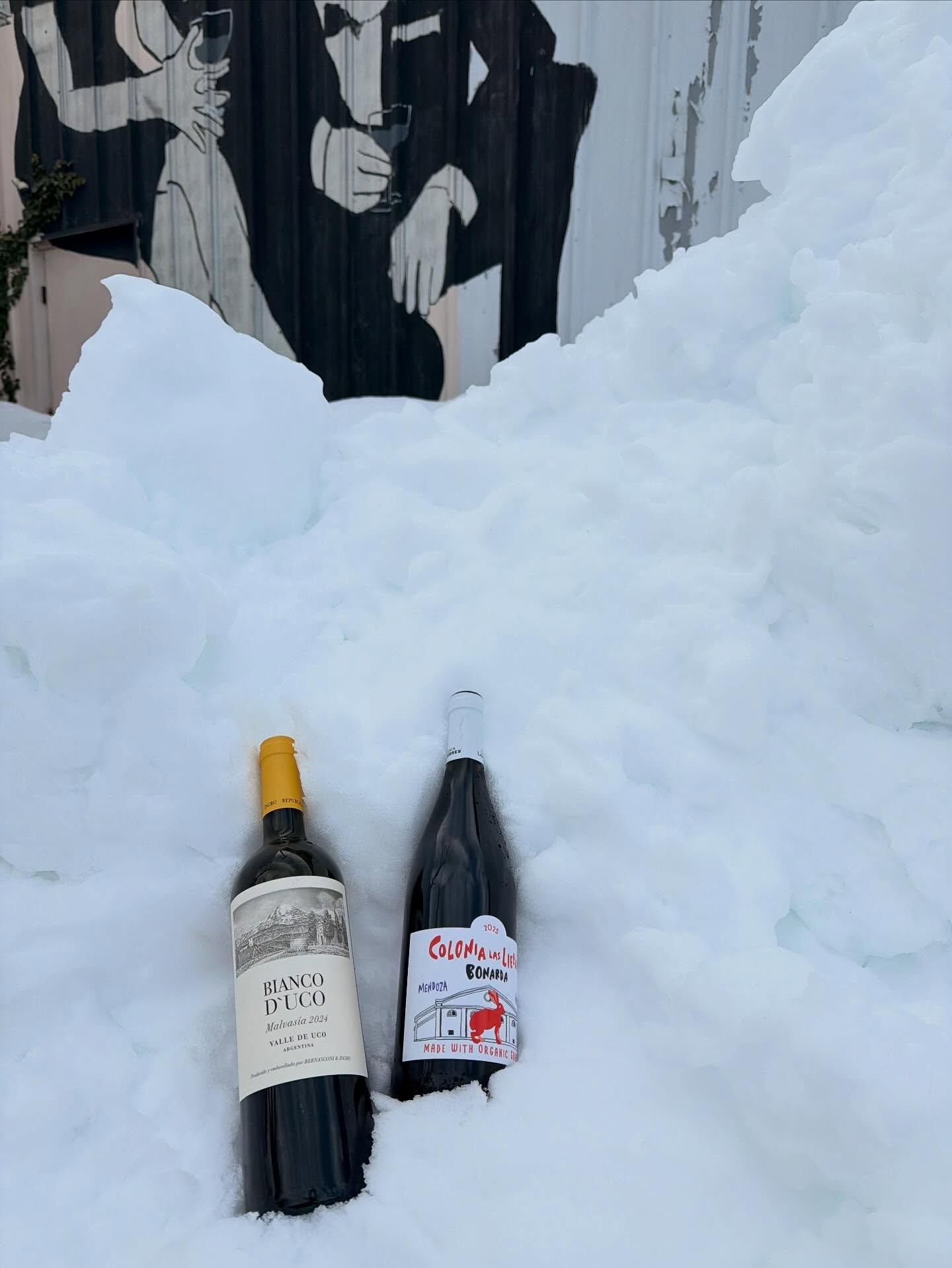 need to get out of the house? our parking lot is plowed, our store is dug out and we have our complimentary wine tasting tonight from 4-6. are you in your car yet? 🚗