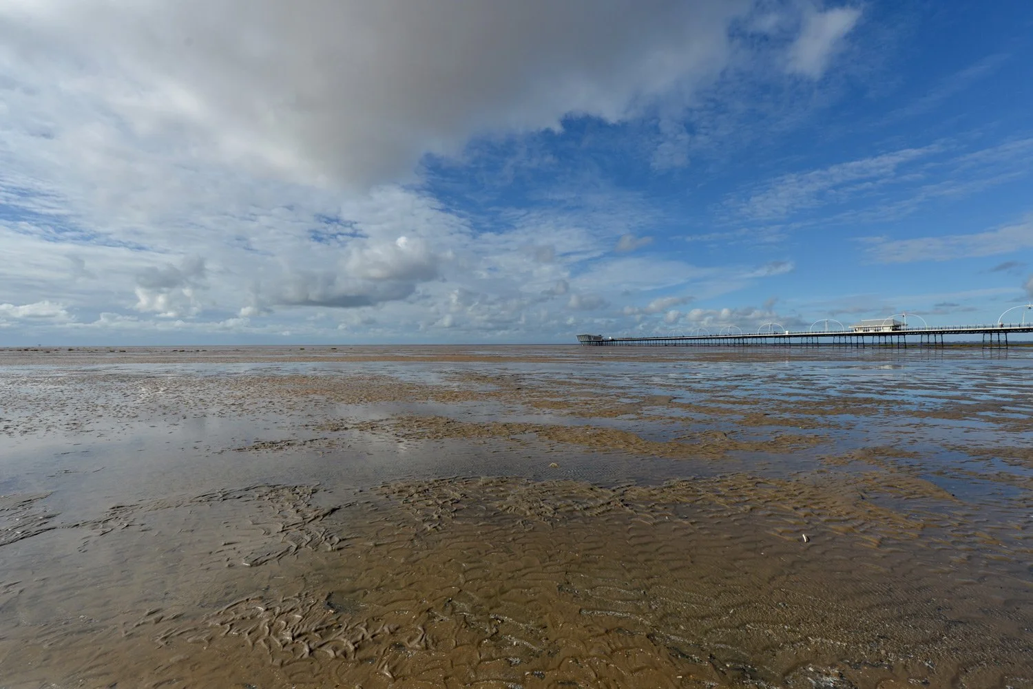 Staff Counselling & Therapy →