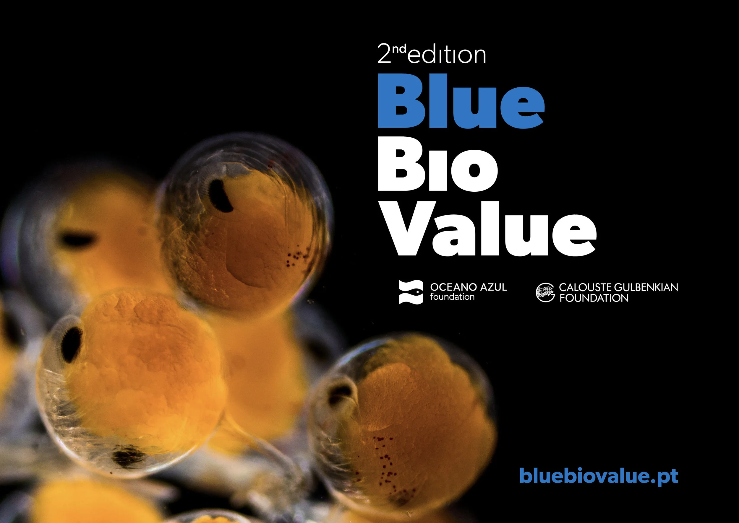 © Blue Bio Value