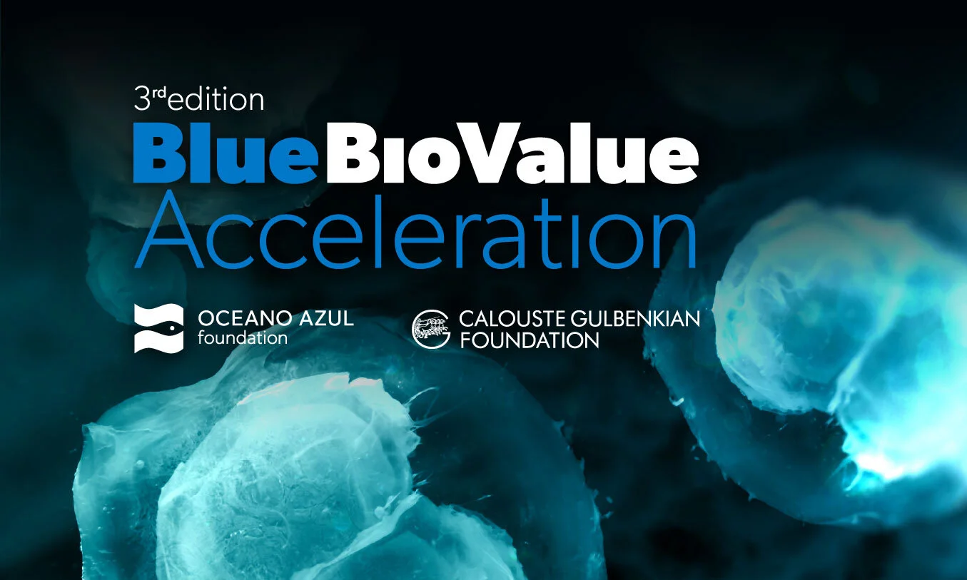 Programa de aceleração Blue Bio Value está de regresso. Inscrições arrancaram esta segunda-feira