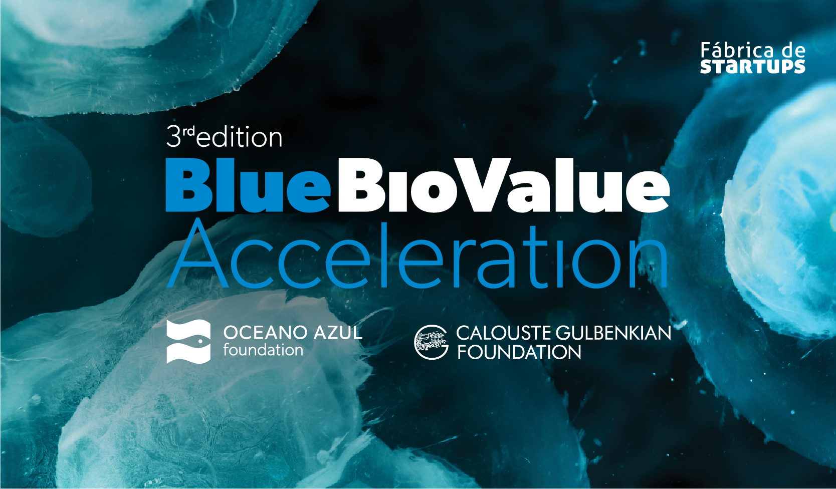 Blue Bio Value com o maior número de candidaturas de sempre!
