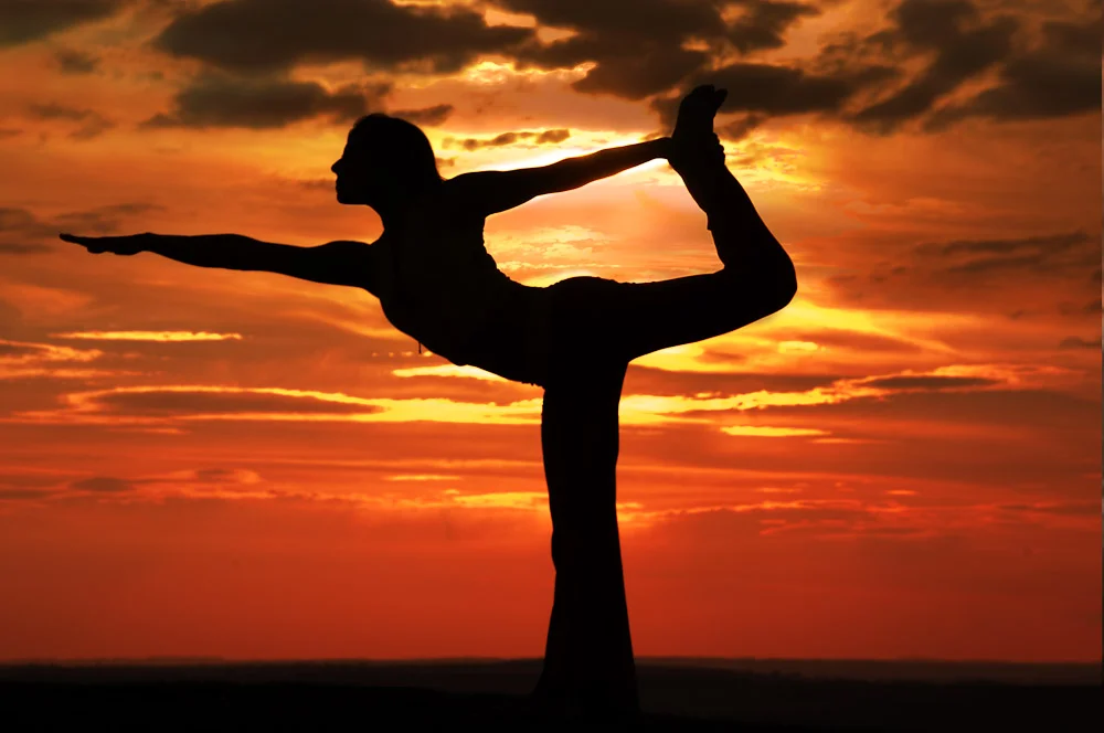 DEFINING FITNESS - PART 5