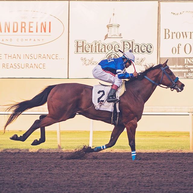 Alone at the wire. #winner 🏇🏻
Photo &amp; Edit by: @herrerosand 
#photography #photo #photographer #photos #photooftheday #photoshop #horse #horses #horsesofinstagram #oklahoma #racetrack #winner #instadaily #instagood #love