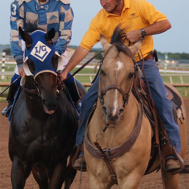 One of my first photos that I took at Lone Star Park back in 2011. I&rsquo;ve come a long way with my equine photography. #nofilter #tbt 🏇🏻
Photo by: @herrerosand 
#photography #photo #photographer #photos #photooftheday #photoshop #horse #horses #