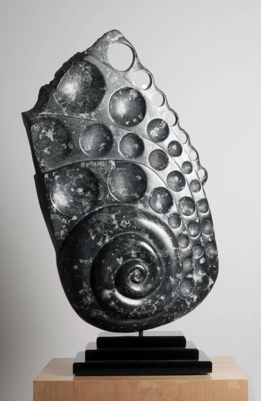 "Ancient Nautilus" 