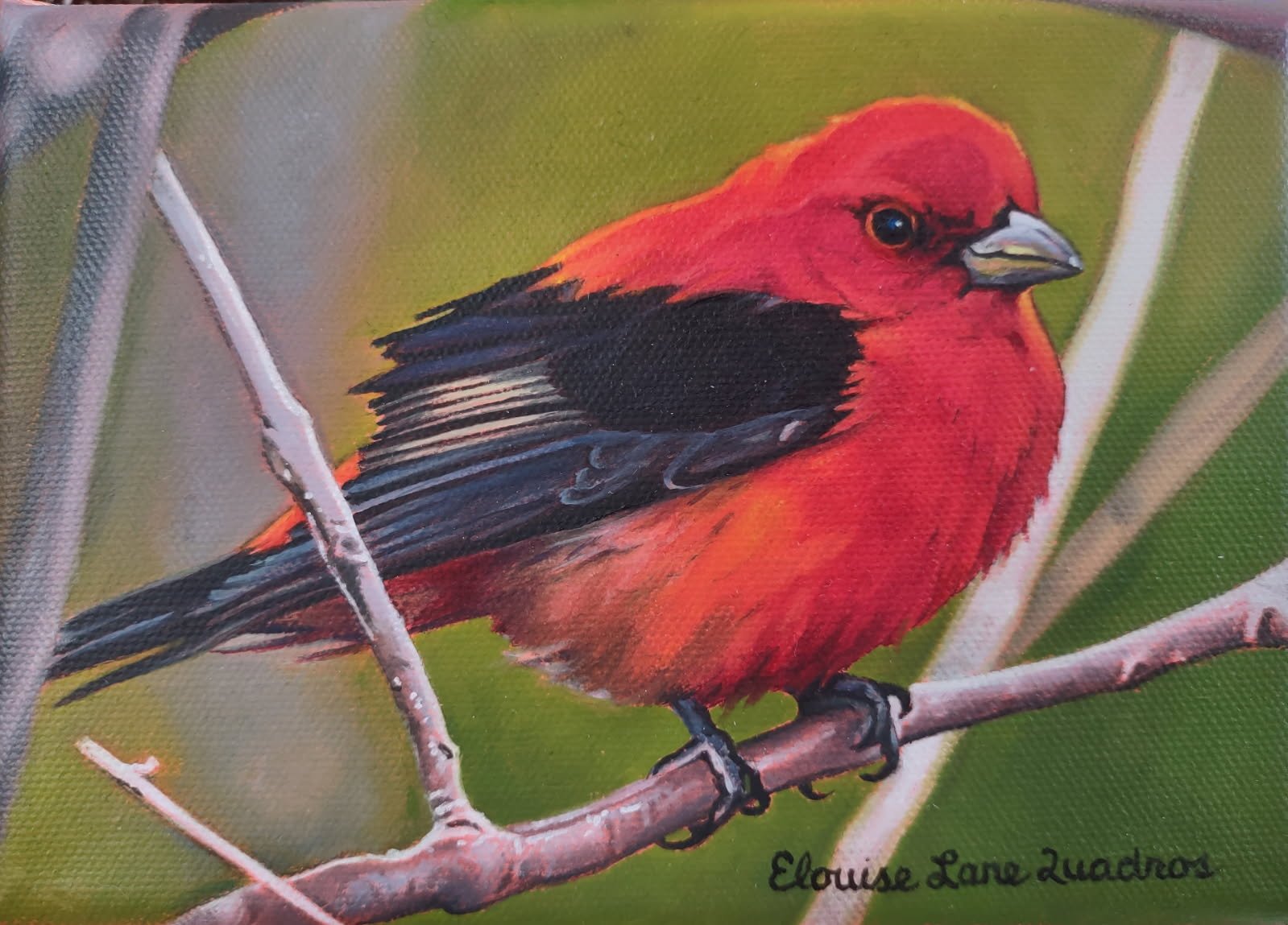 "Scarlett Tanager" original oil, 5"x7", $350.00