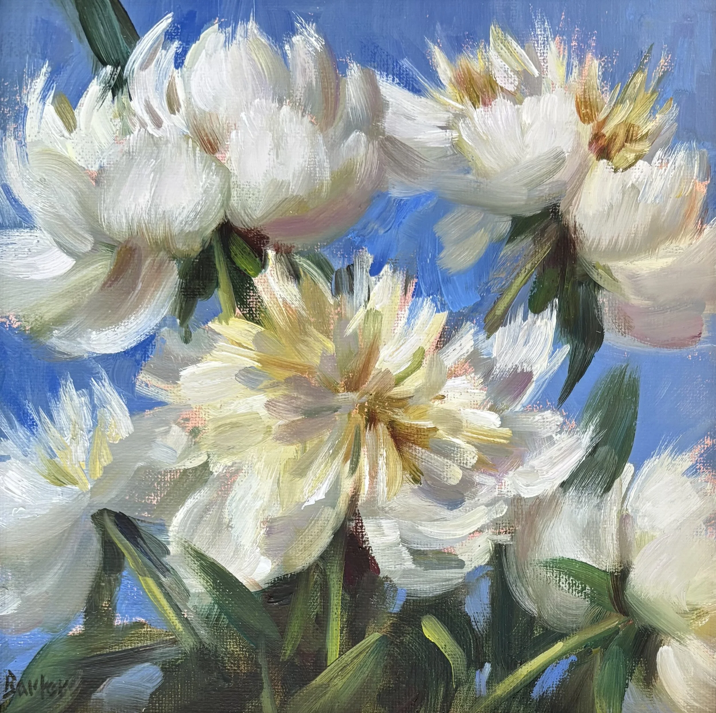 "Warm White Peonies Against Blue" original oil, 8"x8", $850.00-SOLD