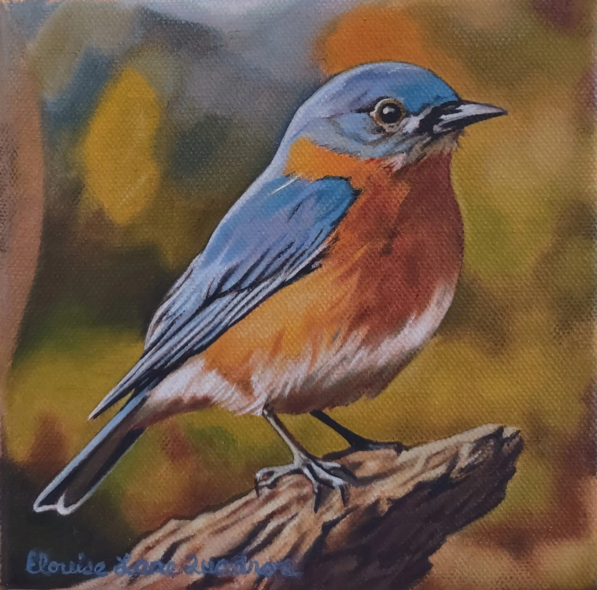 "A Bonny Bluebird" original oil, 6"x6", $350.00