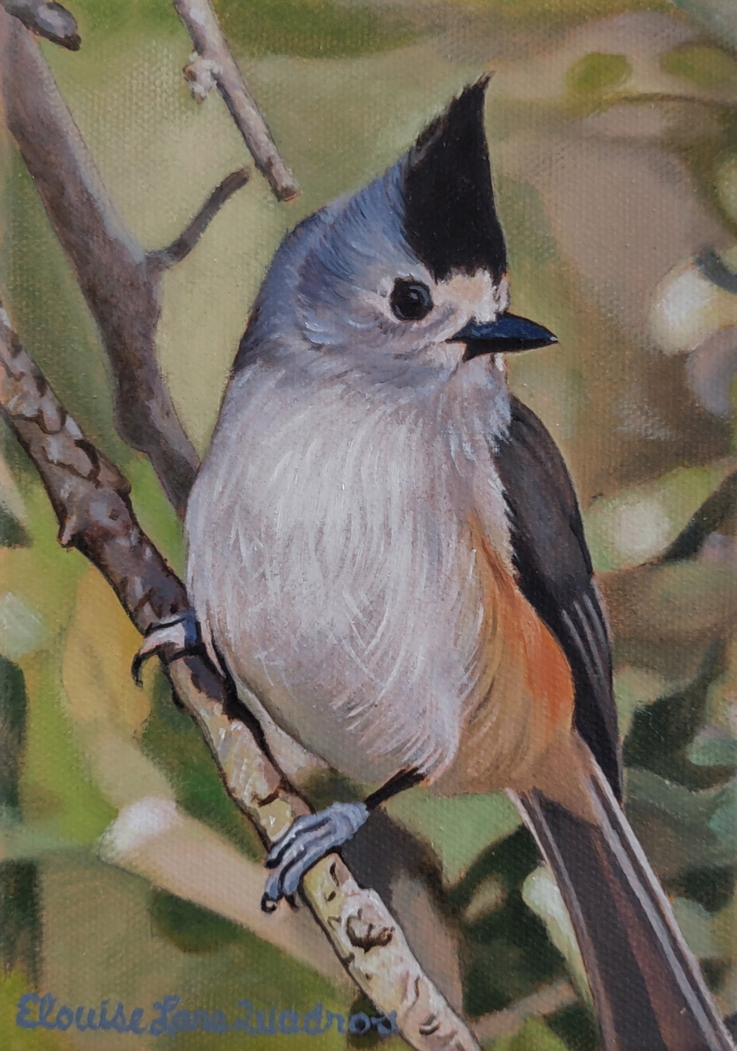 "Black Crested Tufted Titmouse", original oil, 5"x7", $350.00