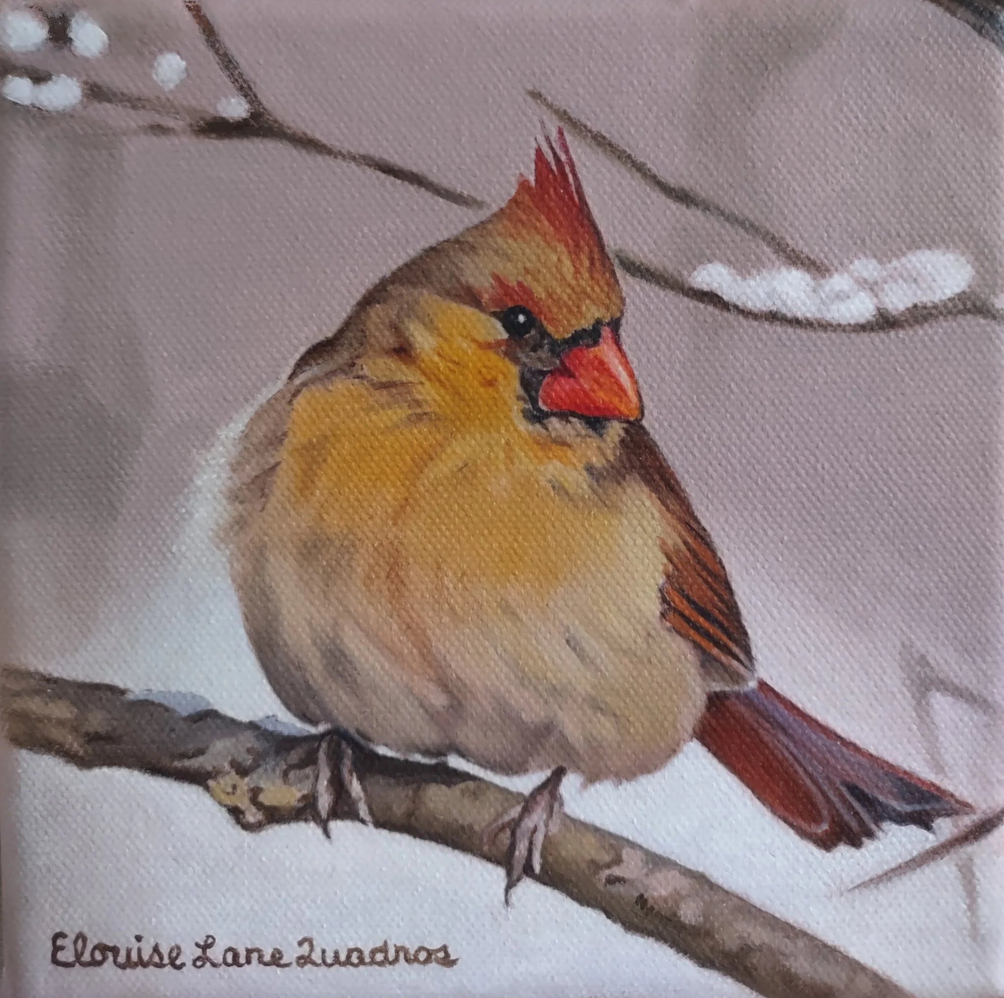 "Female Winter Cardinal" original oil, 6"x6", $350.00