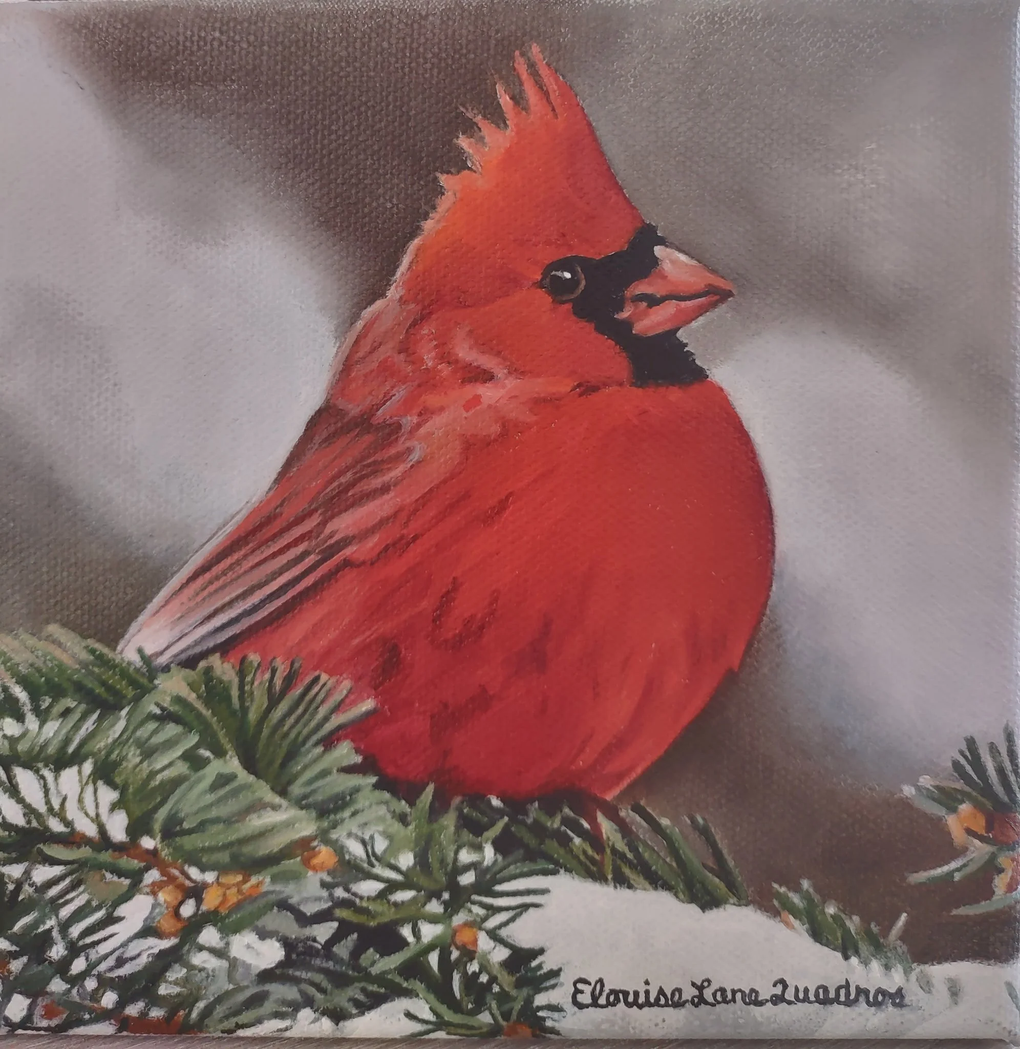 "Winter Male Cardinal" original oil, 6"x6", $350.00-SOLD