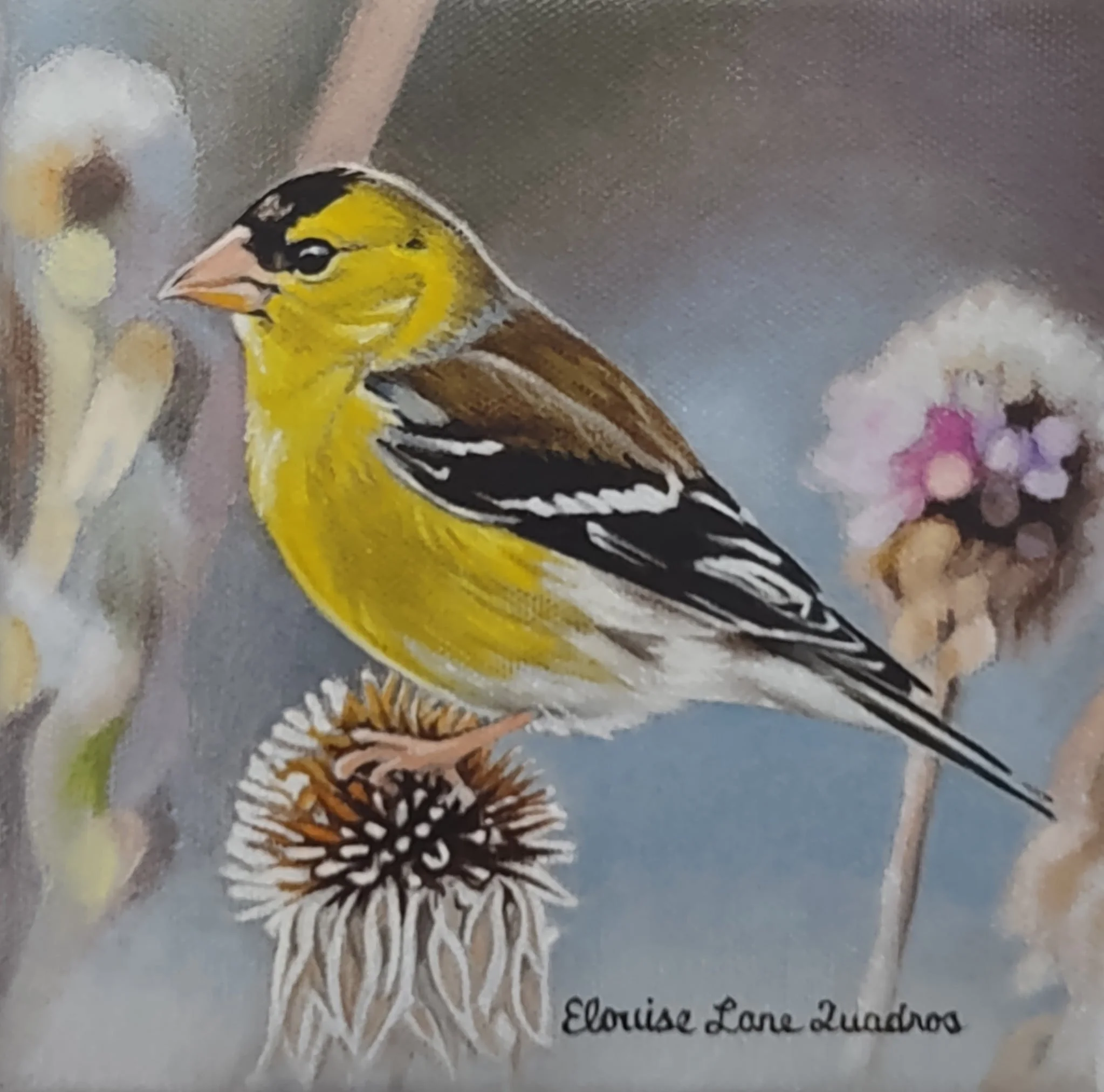 "Goldfinch Perched on a Thistle", original oil, 6"x6", $375.00