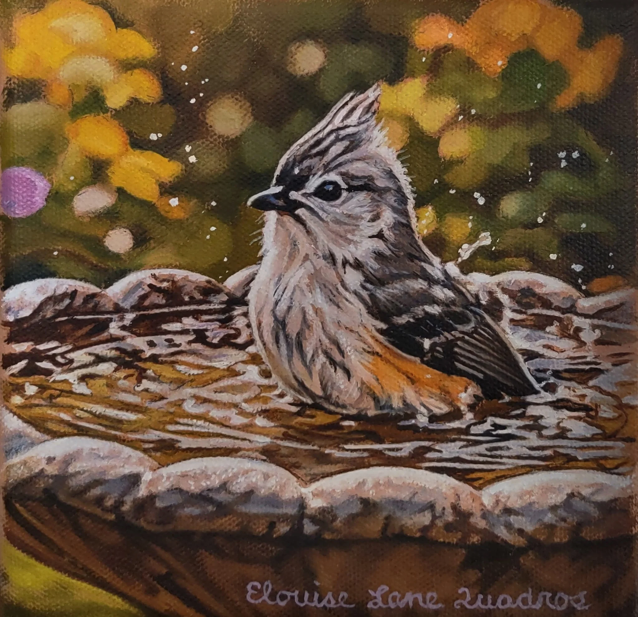 "Making a Splash" original oil, 6"x6", $375.00