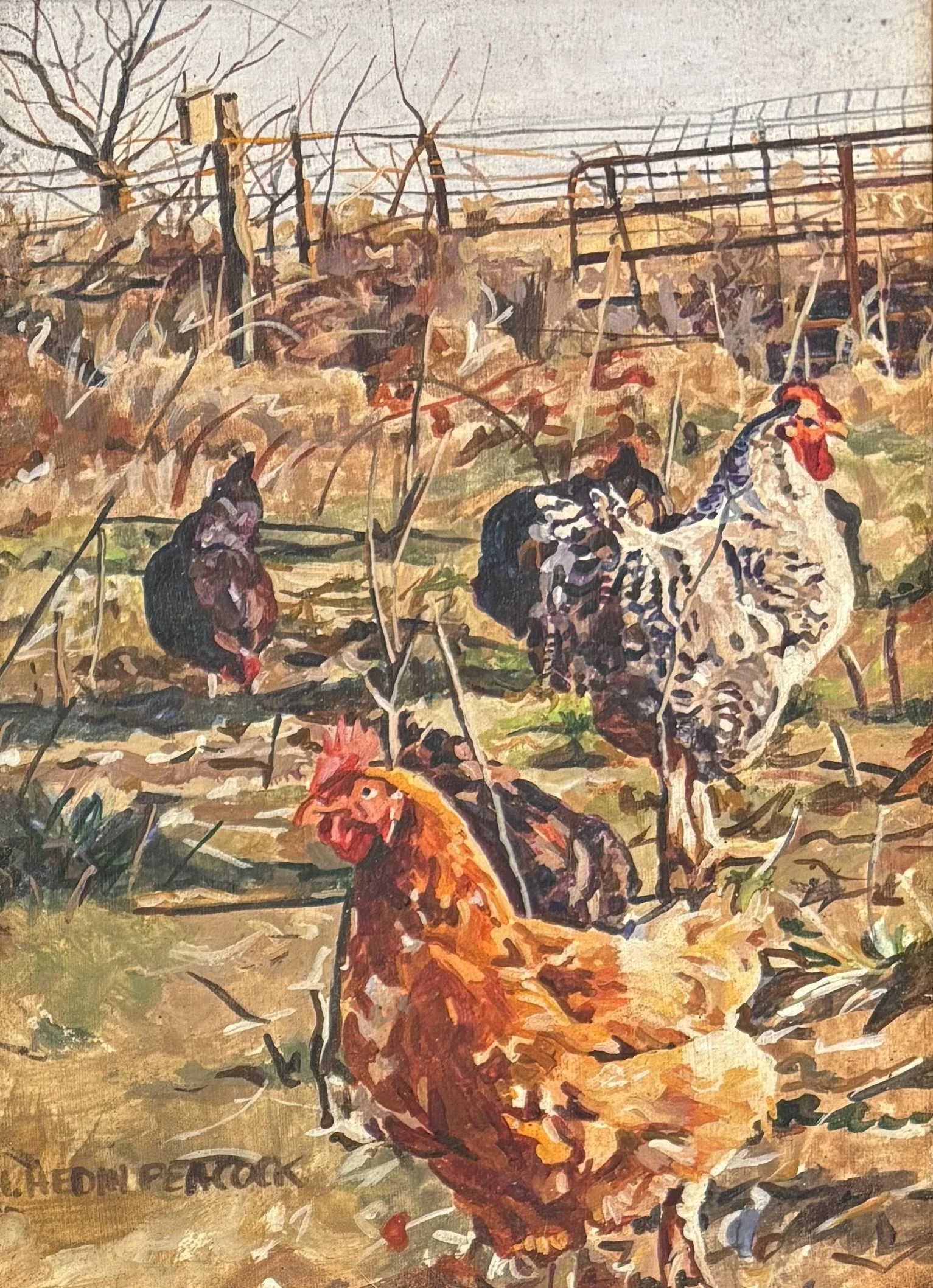 "Free Range" original acrylic, 5"x7", $300.00
