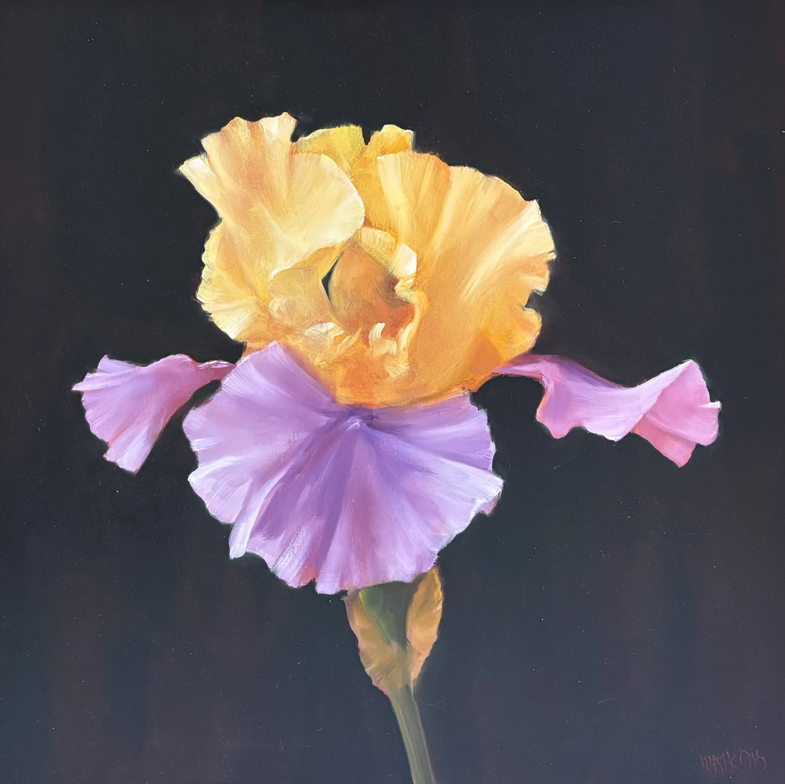 "Barbara's Iris" original oil, outside dimensions 23"x23", $2600.00