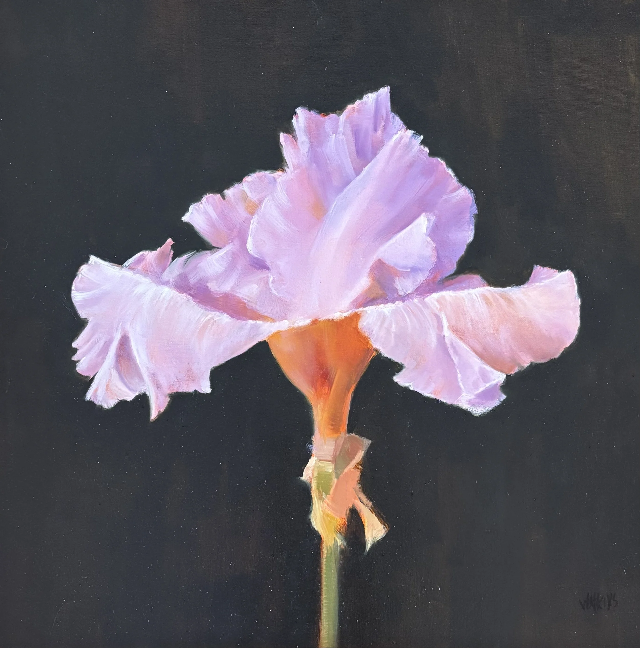 "Barbara's Iris II" original oil, outside dimensions 23"x23", $2600.00