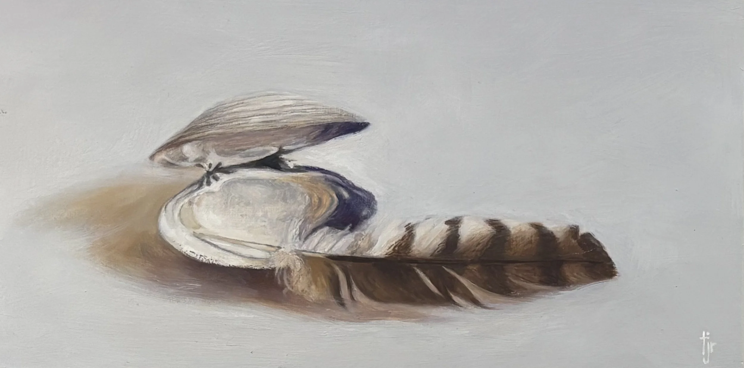 "Feather and Quahog Shell", original oil, 6"x12", $525.00