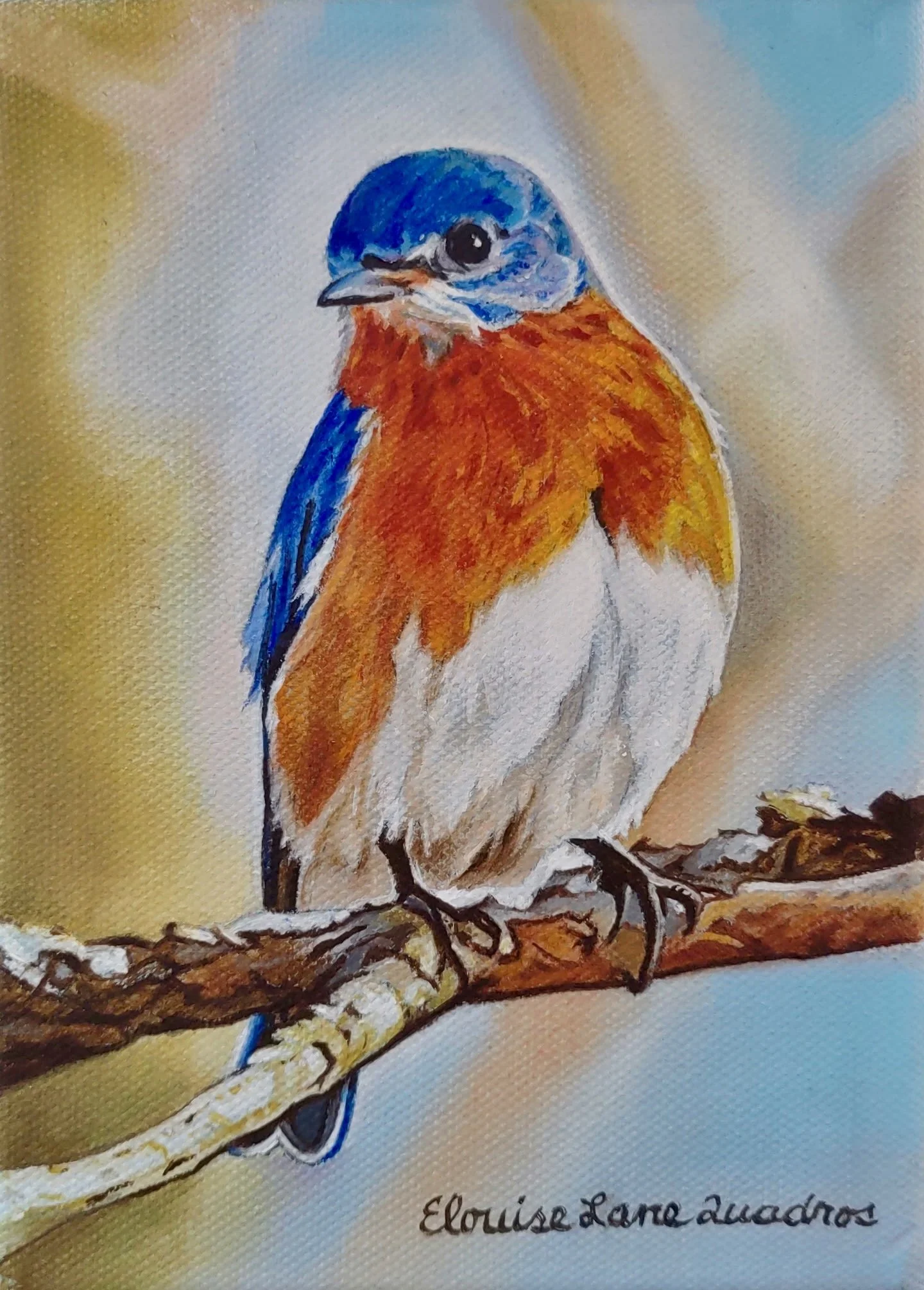 "Blue Birdie on a Bough" original oil, 5"x7", $375.00