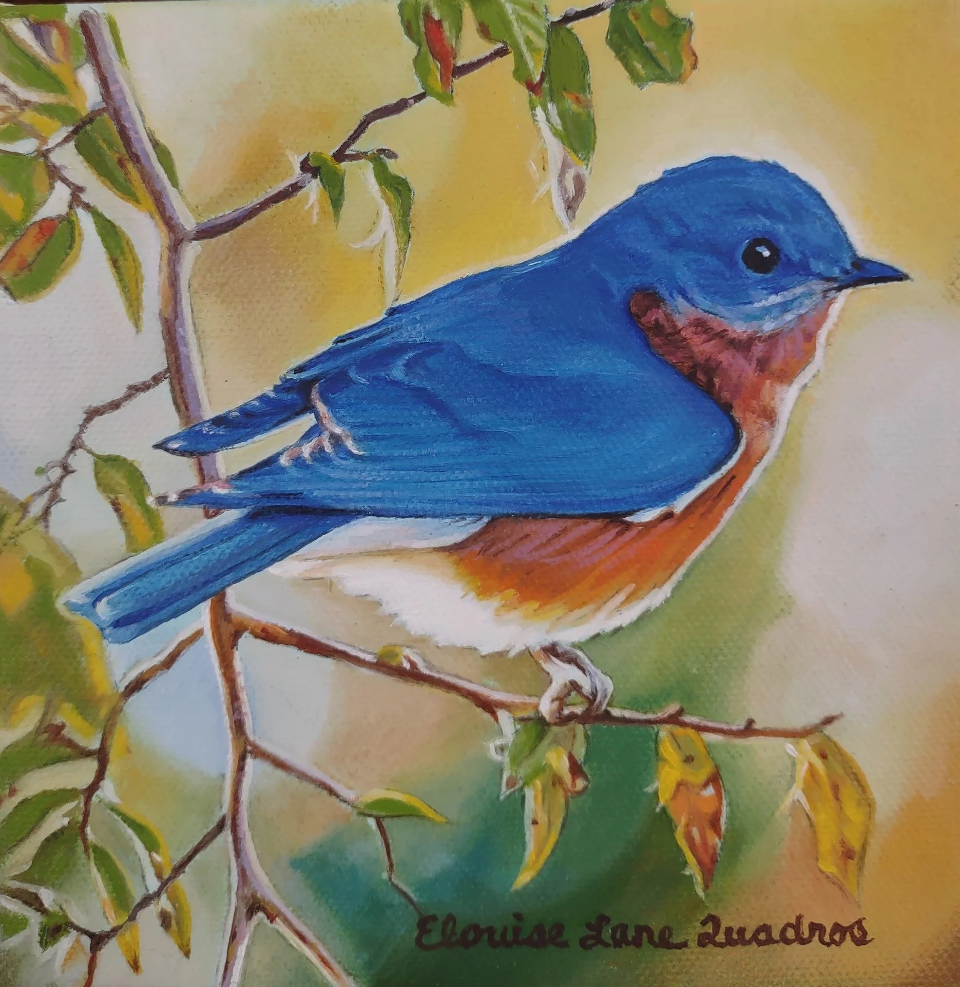  "Bluebird Basking in the Sunshine" original oil, 6"x6", $375.00
