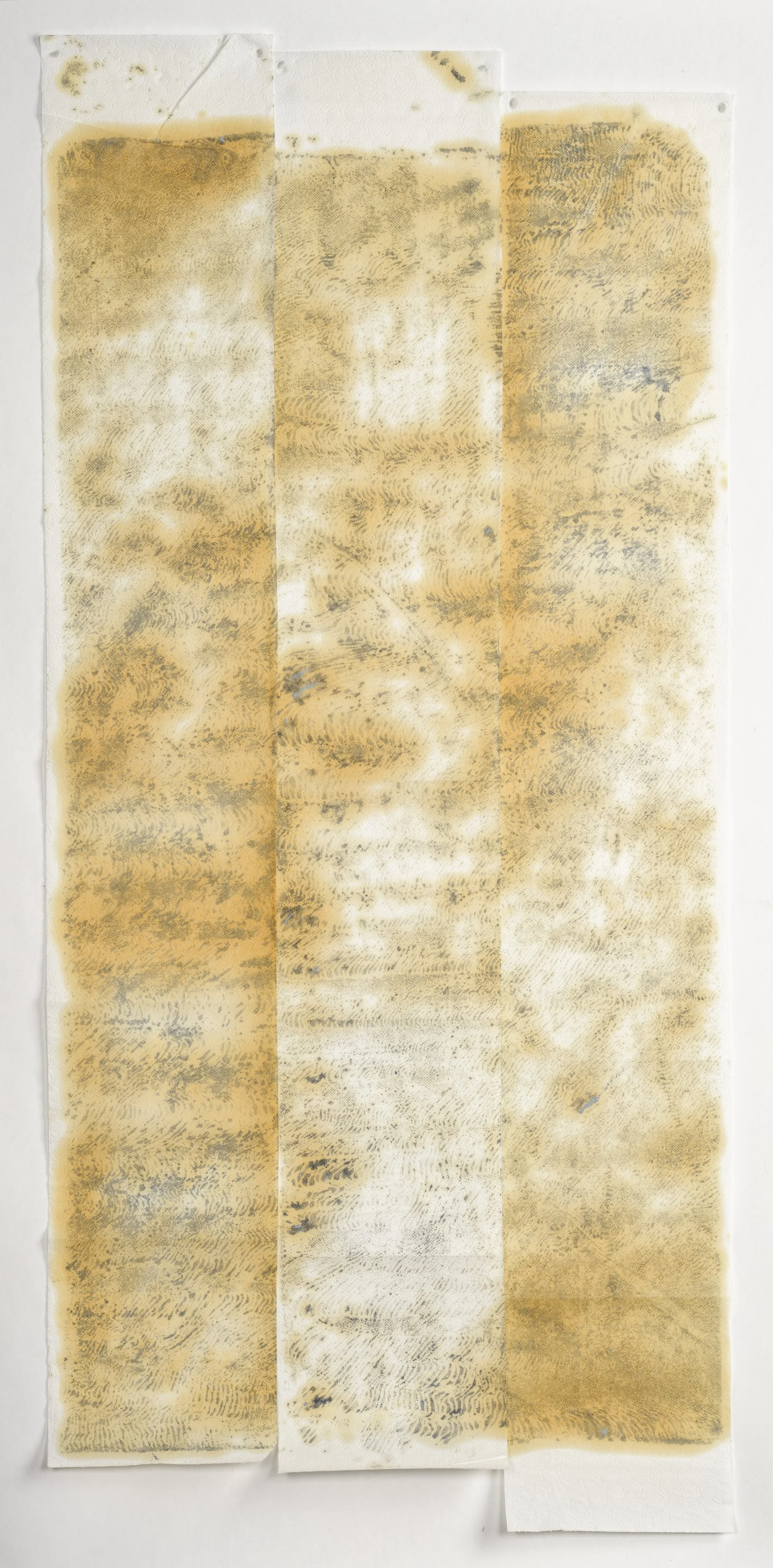 2025, 152x65 cm, oil monoprint