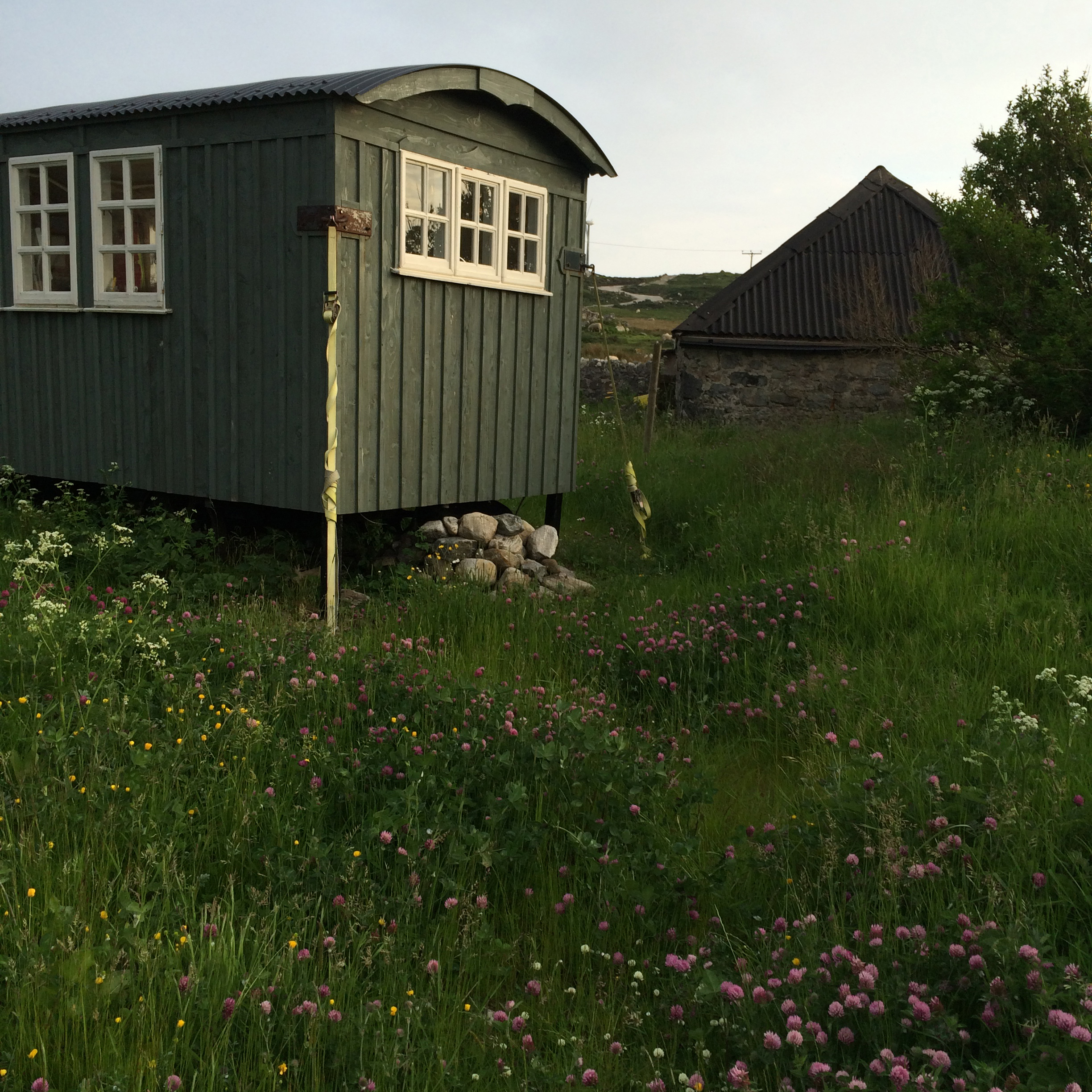 The hut June 2016.