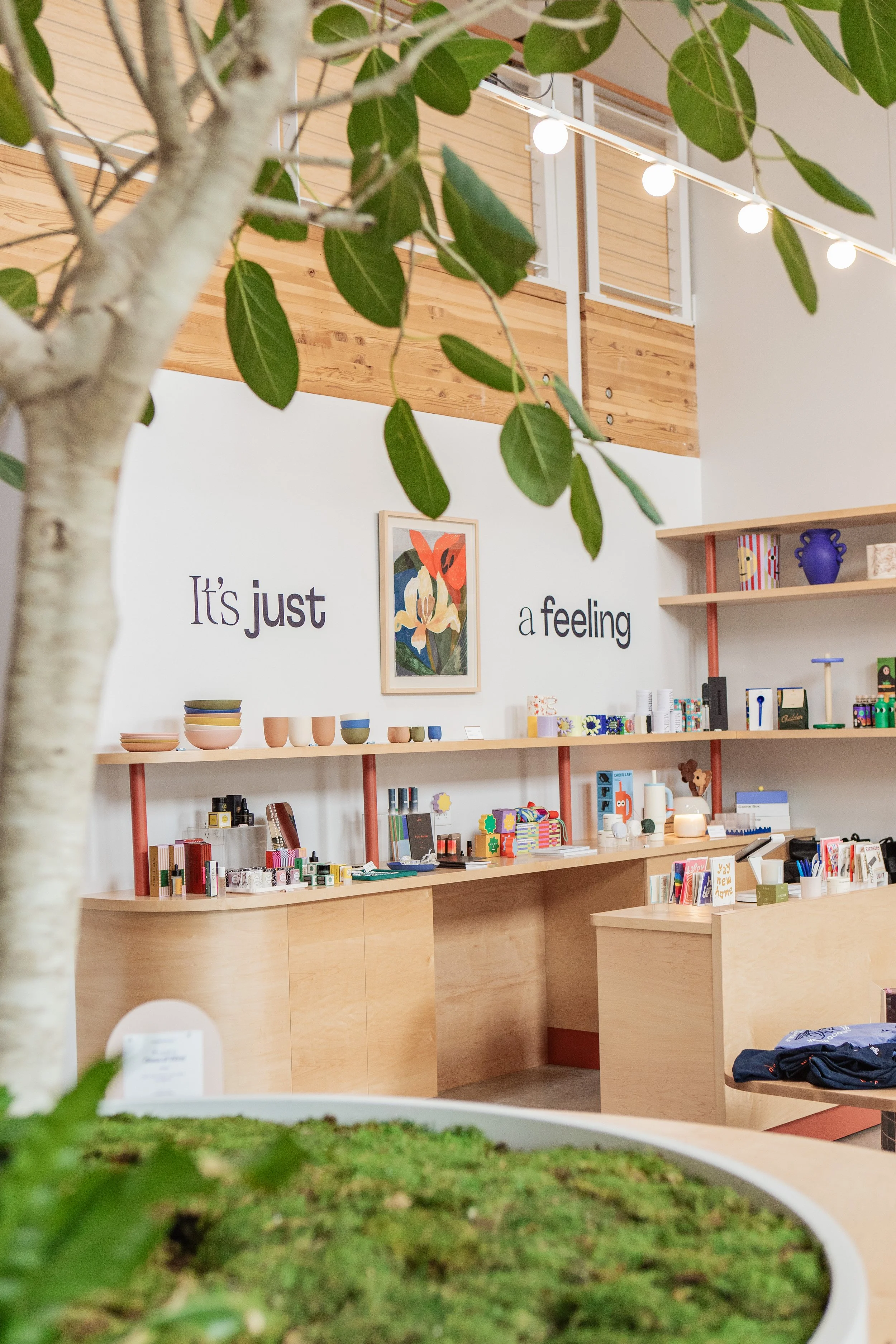IMG_5822.jpg