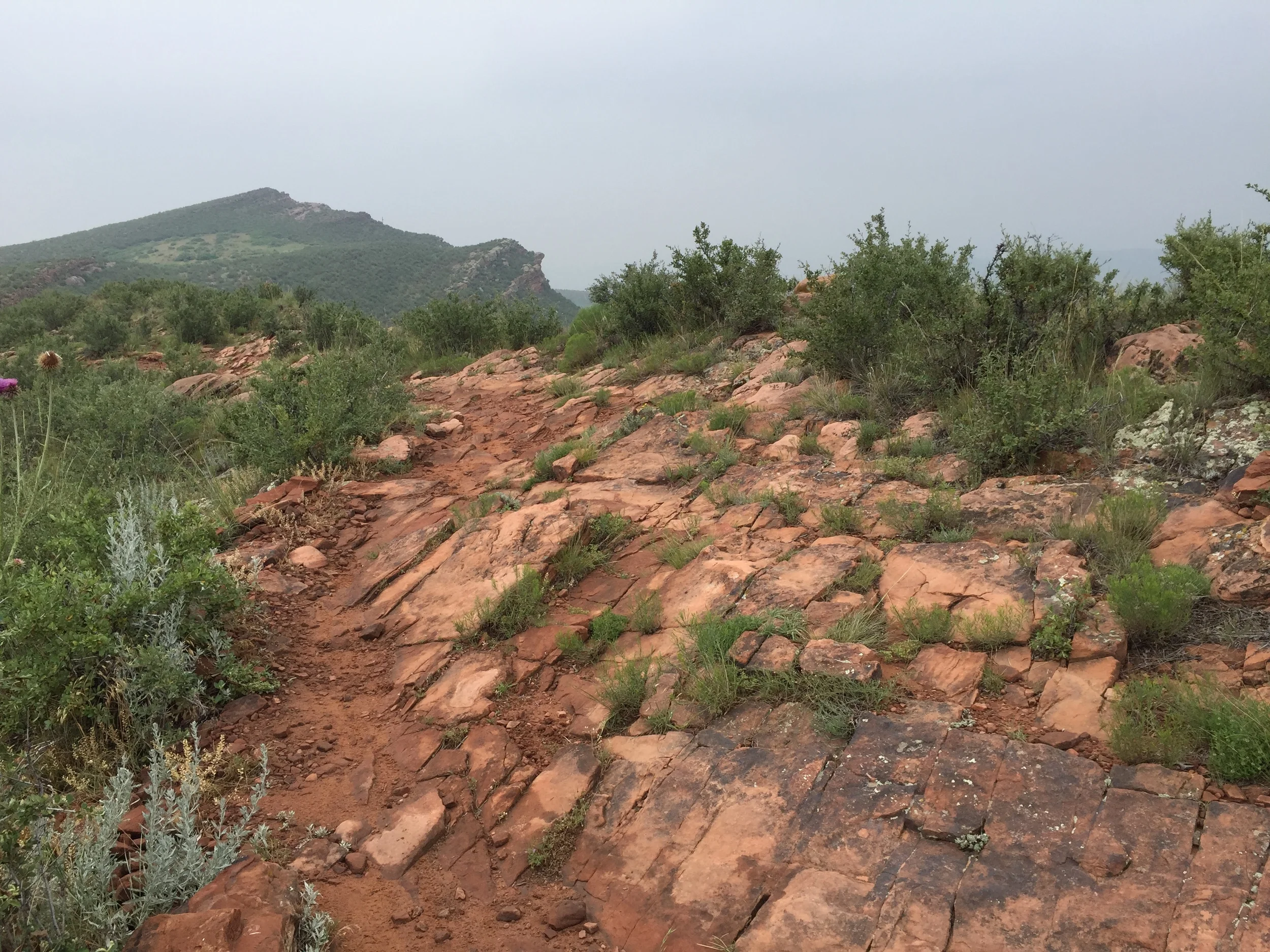 Devil's Backbone Nature Trail and Open Space, Colorado