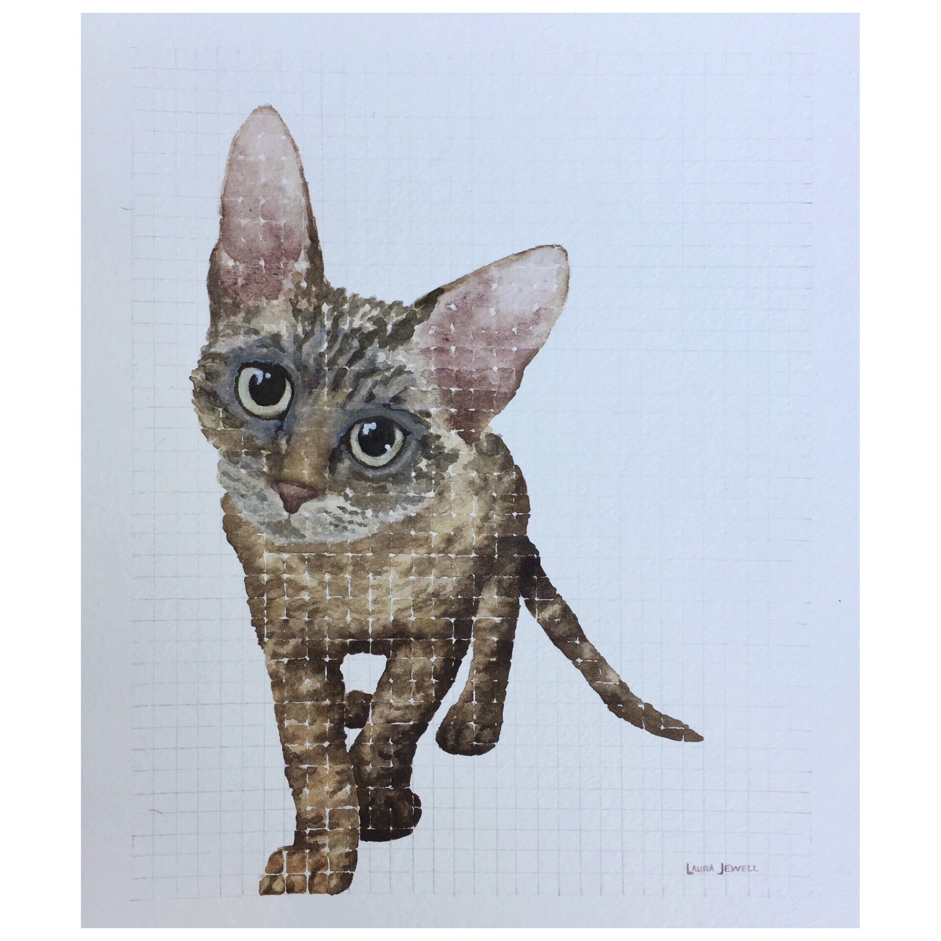 29F537A0-399B-4515-B529-E6A3B8FB8260