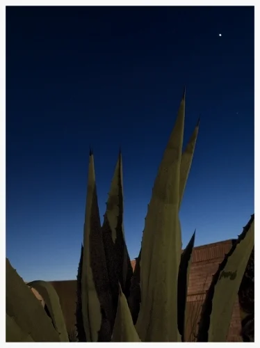 helen's star - tucson, az