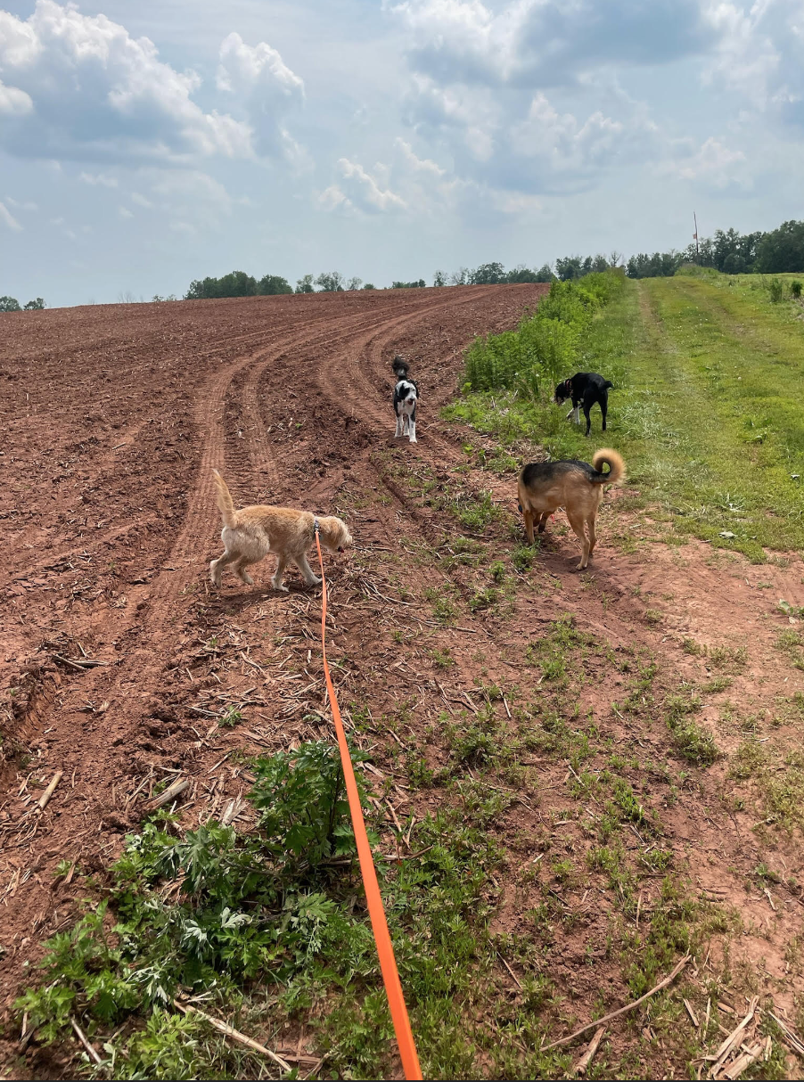 Screen Shot 2026-02-17 at 6.27.54 PM.png