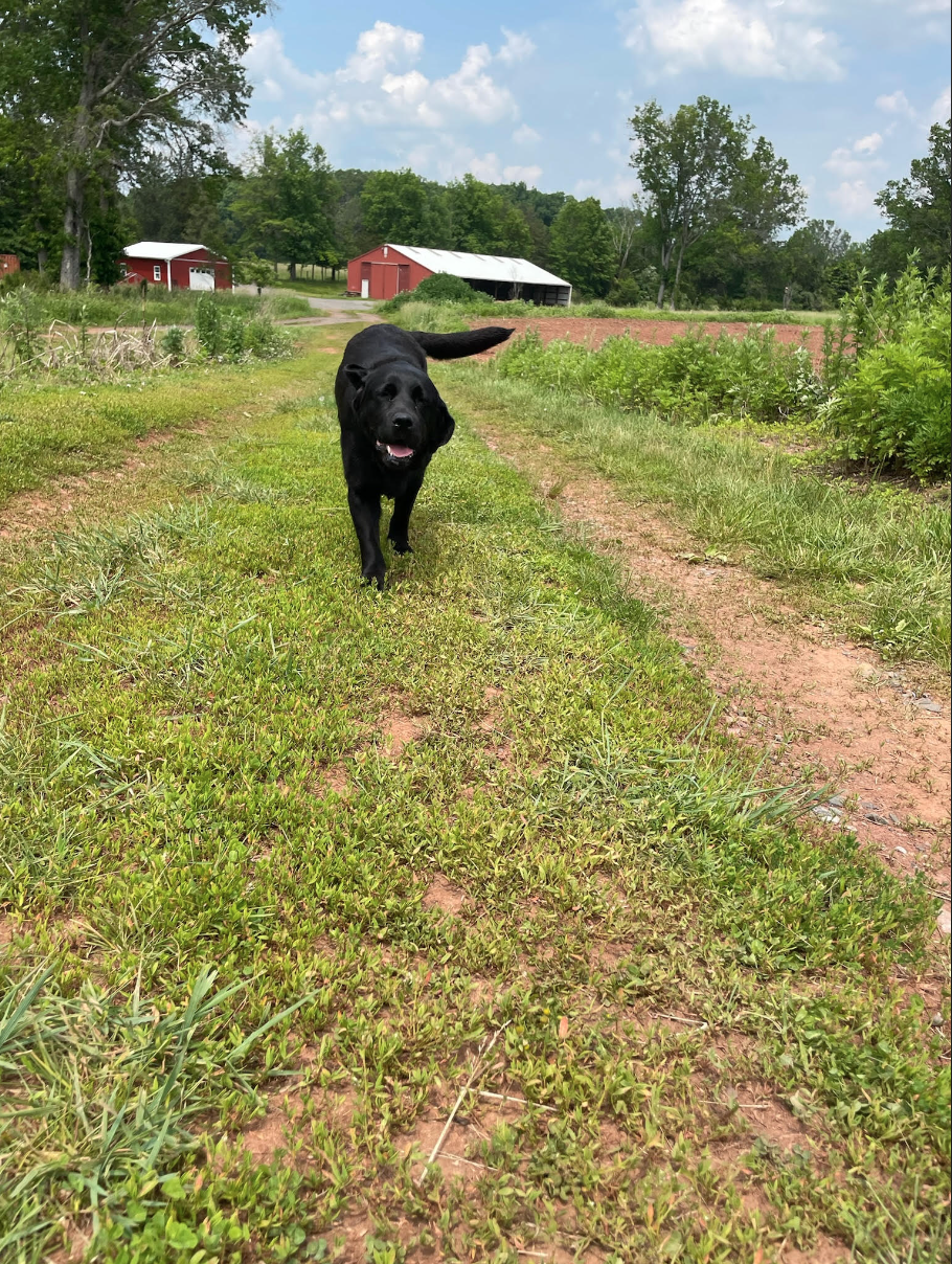 Screen Shot 2026-02-17 at 6.17.16 PM.png