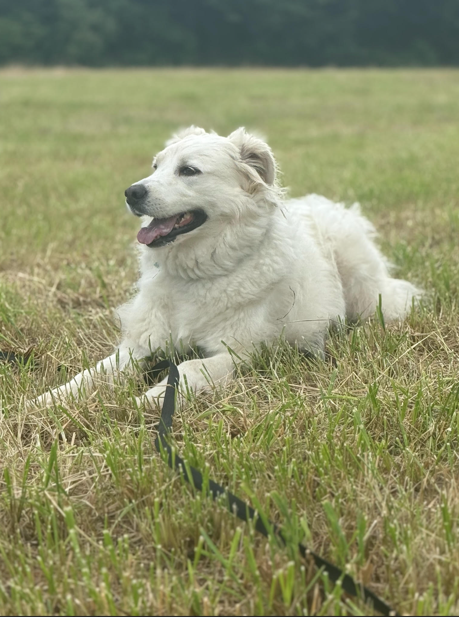 Screen Shot 2026-02-17 at 6.28.19 PM.png