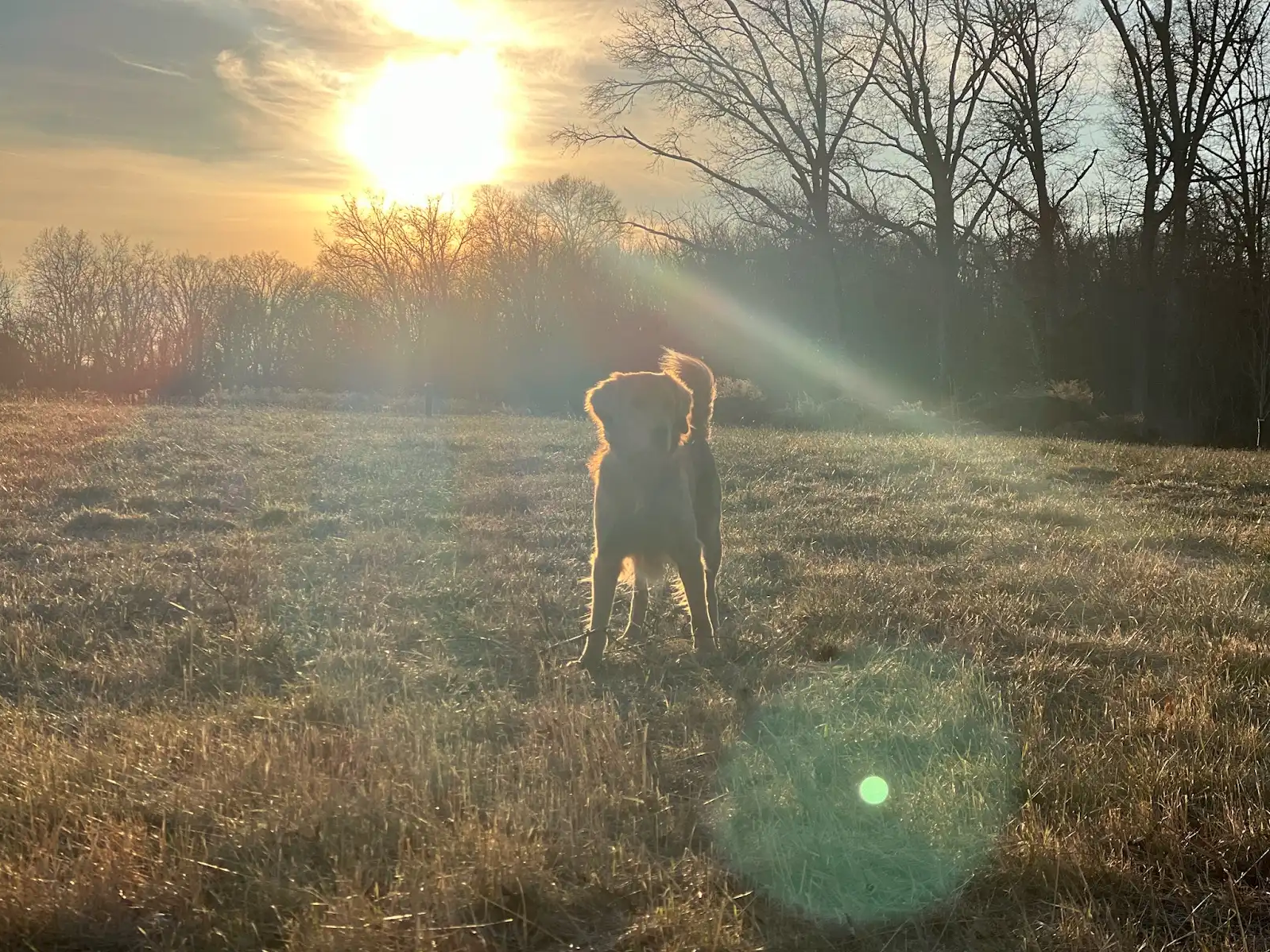 Screen Shot 2026-02-17 at 5.59.24 PM.png