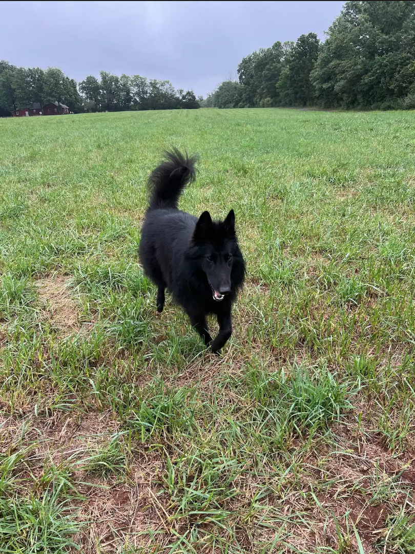 Screen Shot 2026-02-17 at 6.42.23 PM.png