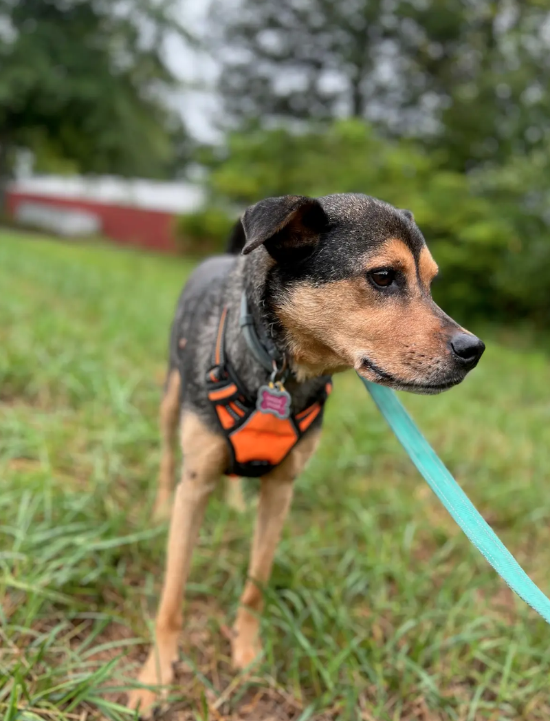 Screen Shot 2026-02-17 at 6.43.14 PM.png