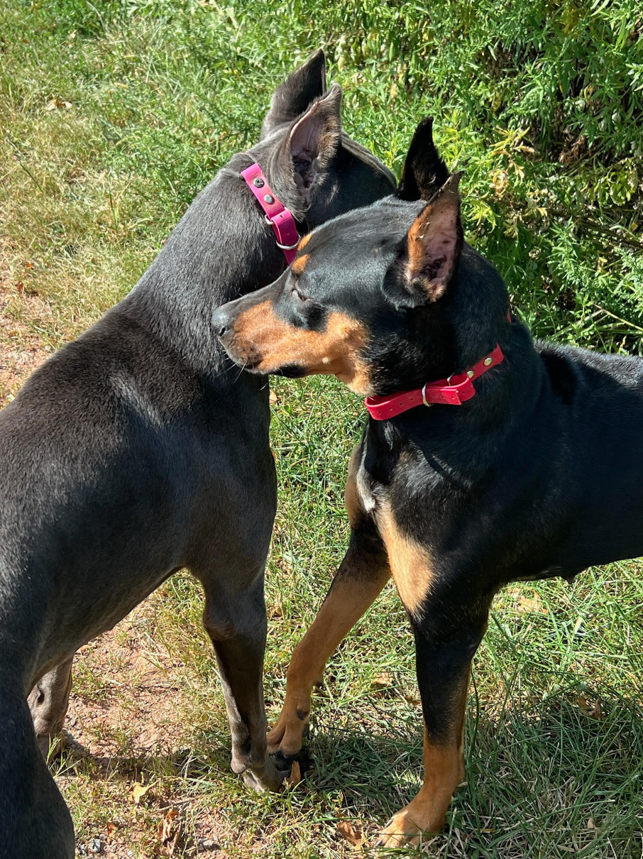 Screen Shot 2026-02-17 at 6.32.51 PM.png