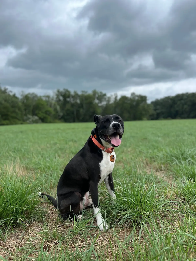 Screen Shot 2026-02-17 at 6.43.35 PM.png