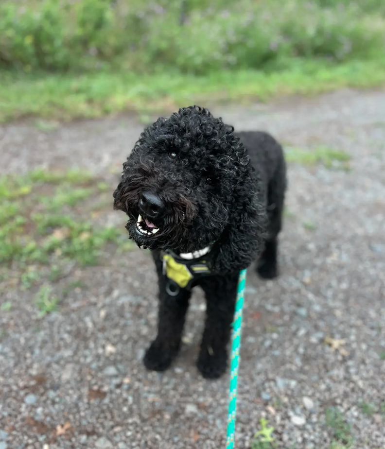 Screen Shot 2026-02-17 at 6.43.54 PM.png