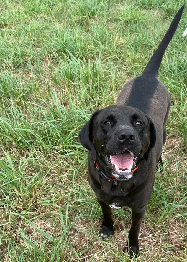 Screen Shot 2026-02-17 at 6.44.23 PM.png