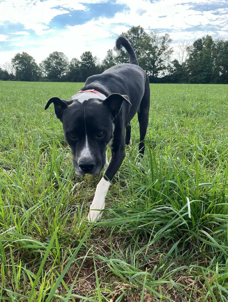 Screen Shot 2026-02-17 at 6.44.46 PM.png