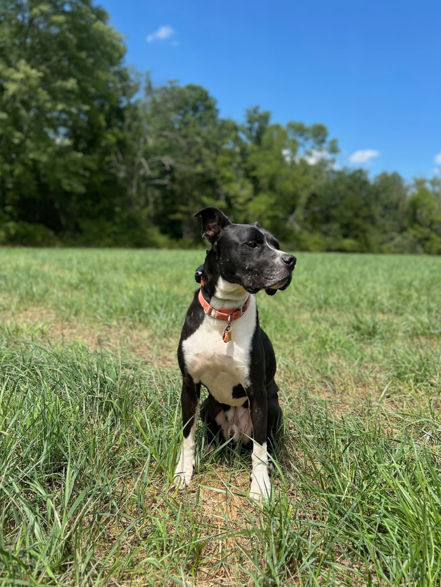 Screen Shot 2026-02-17 at 6.46.12 PM.png