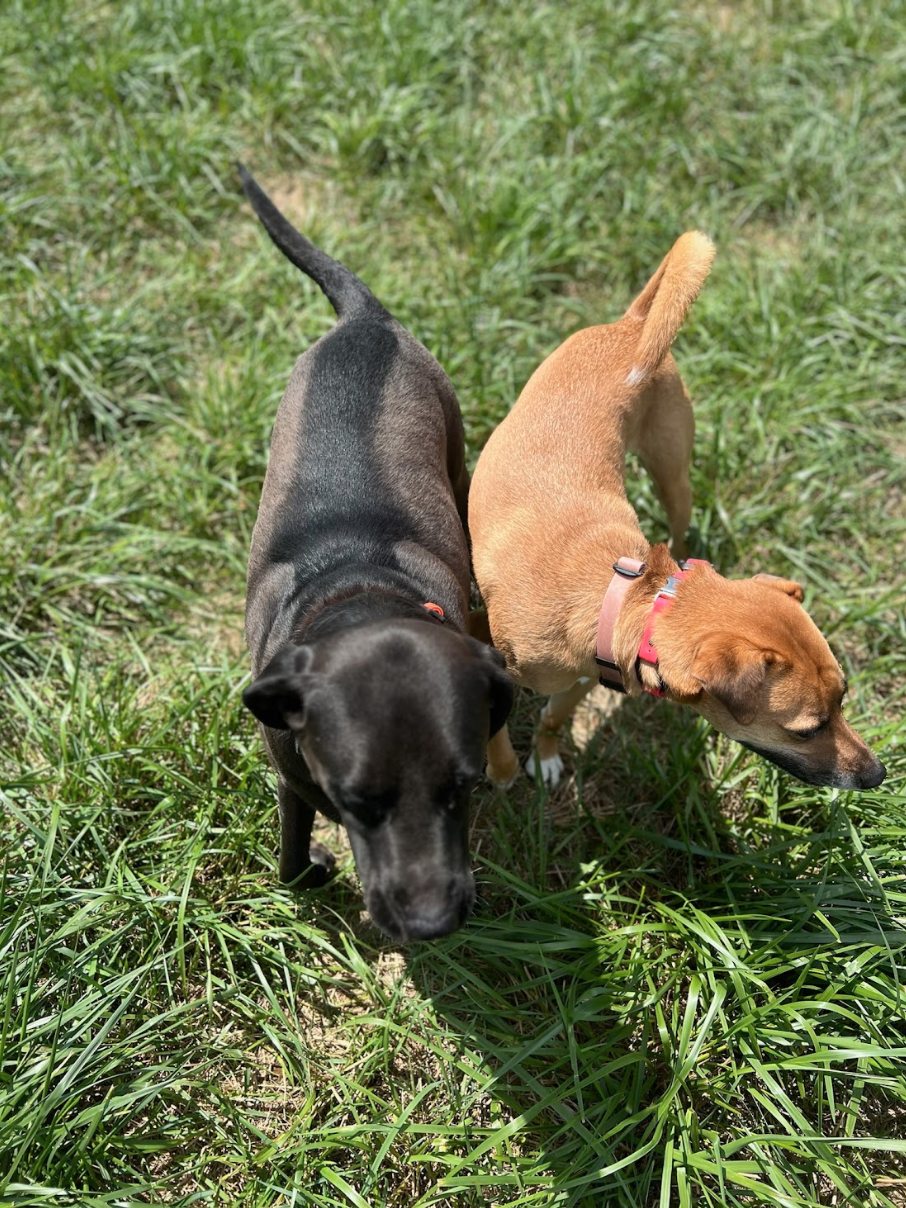 Screen Shot 2026-02-17 at 6.46.28 PM.png