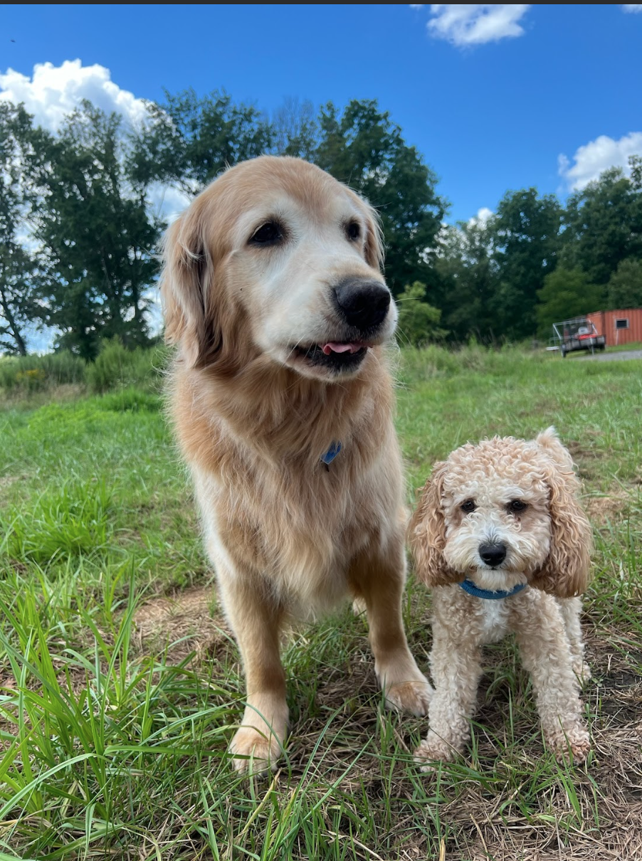 Screen Shot 2026-02-17 at 6.46.38 PM.png