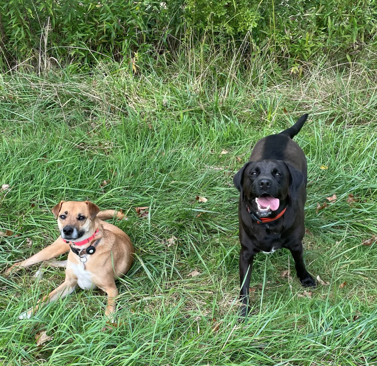 Screen Shot 2026-02-17 at 6.46.49 PM.png