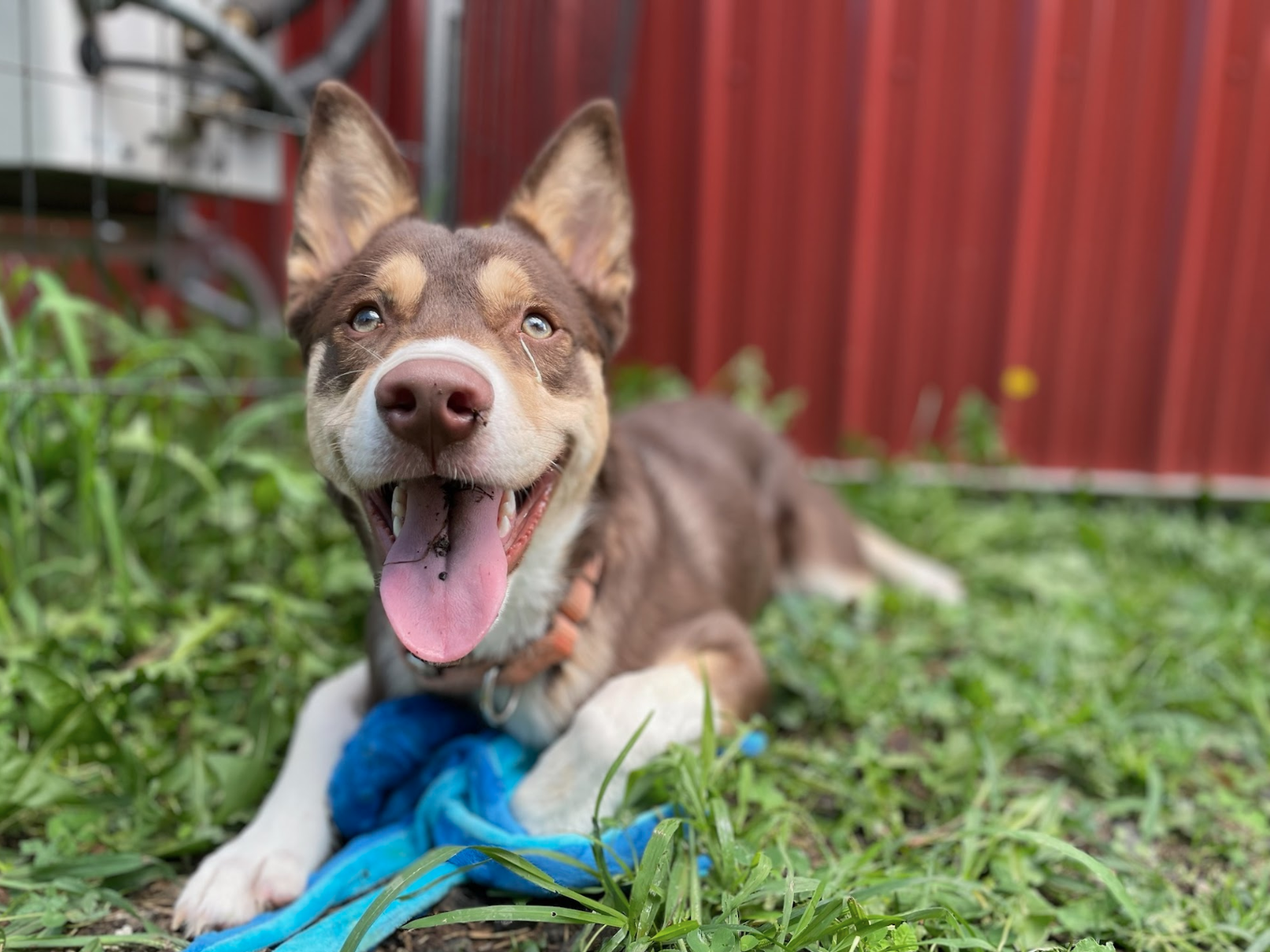 Screen Shot 2026-02-17 at 6.47.01 PM.png